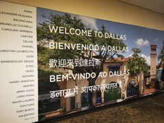 -达拉斯 沃斯堡国际机场