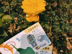 -广州动物园