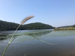 -南京市无想山景区