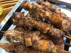 -民族烤羊·烤羊肉串·烤羊排(南城店)