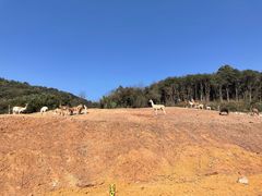 -杭州野生动物世界