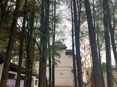 -卓刀泉寺