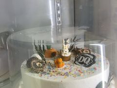 -DQ·蛋糕·冰淇淋(金牛万达店)