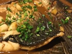 -四季春