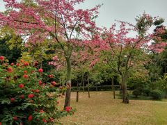 -晓港公园