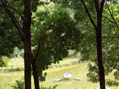 -大兴滨河森林公园