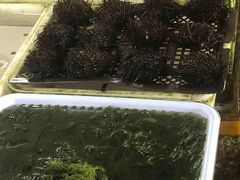 -南沙十九涌渔人码头-南门