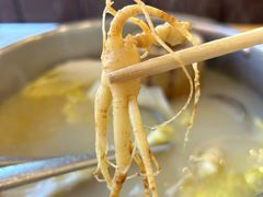 -朴小妹人参鸡汤火锅(长白山万达店)