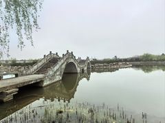 -上海鲜花港