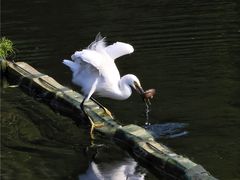 -重庆彩云湖湿地公园