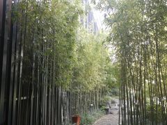 -八分园