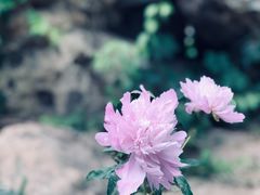 -派悦坊·甜品·蛋糕(日坛店)