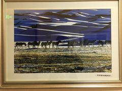 -新疆巴州金丝特餐厅(大钟寺店)