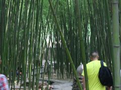 -竹泉村旅游度假区
