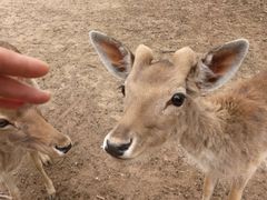 景点-西安秦岭野生动物园