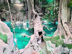 -福州罗源湾海洋世界旅游区