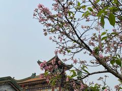 -宝墨园景区