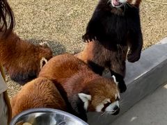 -水上乐园·欢乐世界