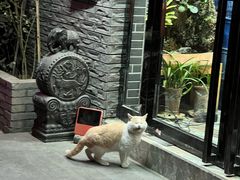 -管记水席老店(仙果市街店)