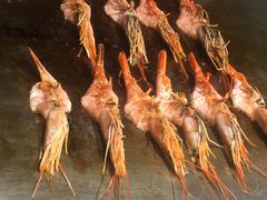 -蓝鲸湾汤泉(包河店)