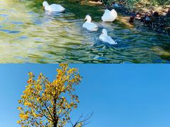 -南海子公园