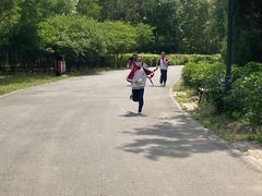 -永定河休闲森林公园