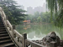 -西苑公园