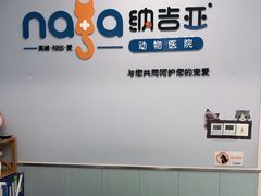 -纳吉亚猫专科动物诊疗中心(蒋宅口分院)