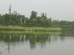 -尚贤河湿地
