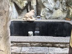 -太白山御龙湾温泉