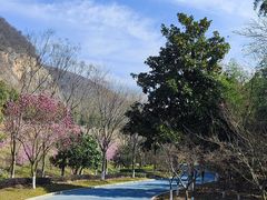 -金钉子远古世界景区