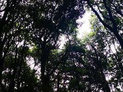 -西湖风景区十里琅珰-五云山