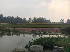 -天府芙蓉园