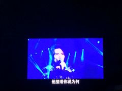 场馆-南京奥林匹克体育中心-体育馆