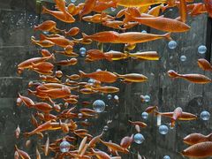 -金满楼(天河中路店)