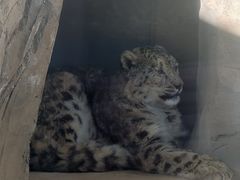 -青藏高原野生动物园