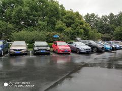 -大宁郁金香公园-停车场