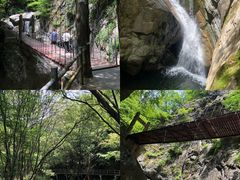 -牛背梁国家森林公园