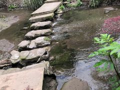 -重庆彩云湖湿地公园
