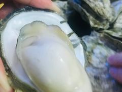 -土蚝·高压锅生蚝(百姓美食街店)