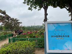 -曹州百花园