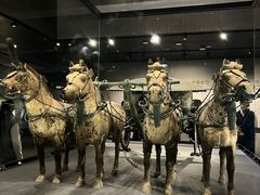 -秦始皇帝陵博物院-丽山园