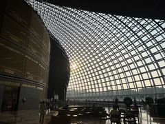 -国家大剧院