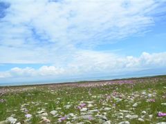 -青海湖国家重点风景名胜区