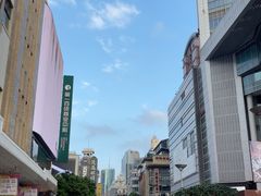 -新雅粤菜馆(南京东路店)