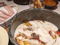 -芸山季·云南山珍菌火锅(人民广场来福士店)