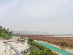-西安锦江国际酒店