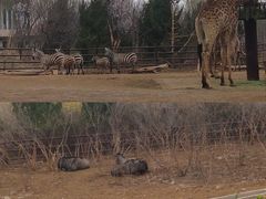 -济南野生动物世界