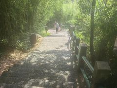 -南昆山川龙瀑布