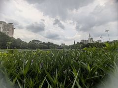 -映月湖公园